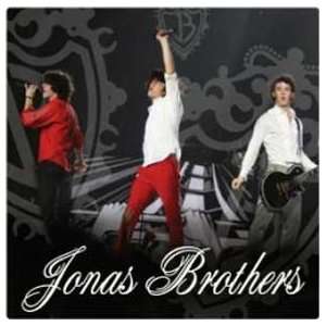Jonas Brothers Group Black Sticker