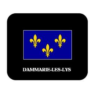  Ile de France   DAMMARIE LES LYS Mouse Pad Everything 