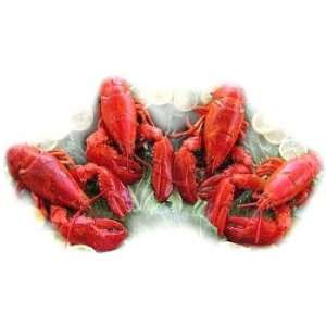 Live Maine Lobsters, 1.25 lbs. A Piece  Grocery 