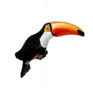  Fly Thru   Toucan