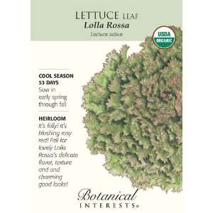  Botanical Interest   Lettuce Leaf Lolla Rossa (Certified 