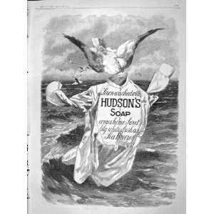  1904 ADVERTISEMENT HUDSONS SOAP SEA BIRD WASHING