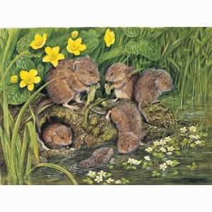  Water Voles Jigsaw Puzzle 1000pc Toys & Games