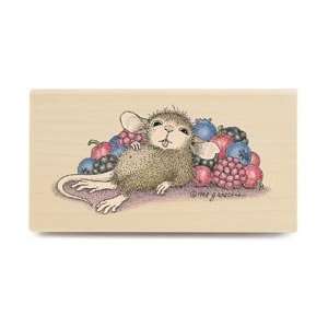   Mounted Rubber Stamp 2X4 by Stampabilities Arts, Crafts & Sewing