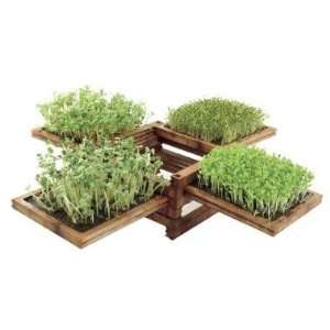    The Green Box Miniature Garden La Boite Verte Toys & Games