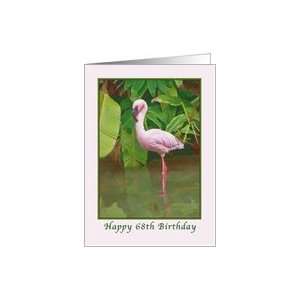 68th Birthday with Pink Flamingo Card Toys & Games