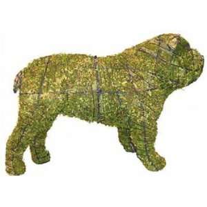  Bulldog Mossed Topiary Frame