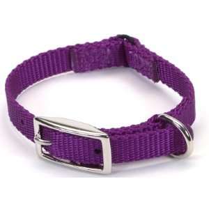 Coastal Pet Products CO00915 301S .38 in. Web Safety Collar   Purple