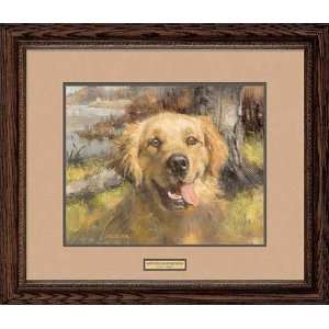  Robert Abbett   Happy Dog   Golden Retriever Framed