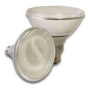  GELCO #31245   20 Watt CFL PAR38 6500K Daylight Light Bulb 