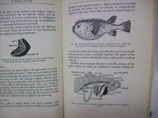 1948 Stated First Edition,A Study Of Fish,Fishing Book  
