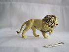 z9 zoo animal britains light brown male lion 