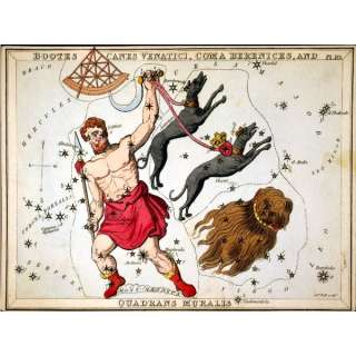 Constellation Bootes Dogs Sign Zodiac Astrology Art 17x23  