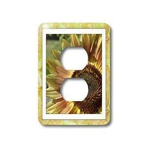  Patricia Sanders Flowers   Yellow Abstract Frame Sunflower 