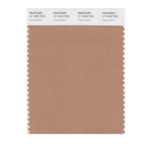  PANTONE SMART 17 1225X Color Swatch Card, Tawny Birch 