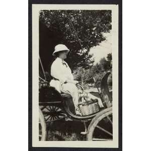   Griswold Nevins,1857 1956,pianist,horse drawn carriage