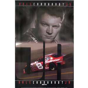  Trends Dale Earnhardt, Jr. 36 x 24  Poster