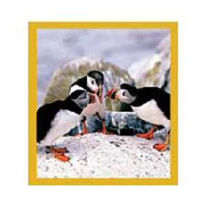  New Magnetic Bookmark Puffins Chat High Quality Modern 