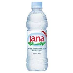 Jana European Artesian Water, 0.5 Liter (16.9oz)   Pack of 24  