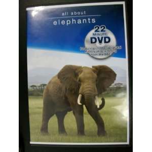  All About Elephants (DVD) 