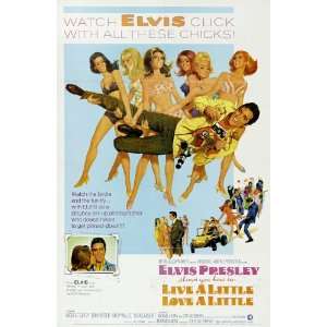  Live a Little, Love a Little   Movie Poster   27 x 40 