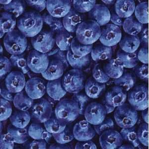   Market by RJR Fabrics blueberries, 8408 Arts, Crafts & Sewing