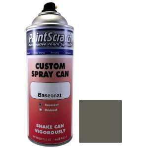 12.5 Oz. Spray Can of Lava Gray Pearl Effect Touch Up Paint for 2009 