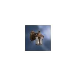   Light Outdoor Wall Sconce 9in  9393 TZG/9393 TZG