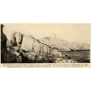  1918 Print Guano Islands Peru Albatross Bird Lighthouse 
