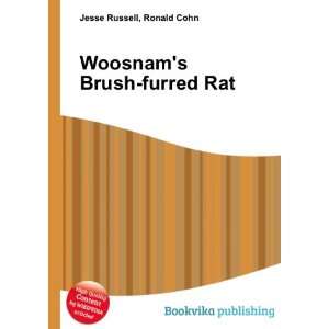  Woosnams Brush furred Rat Ronald Cohn Jesse Russell 