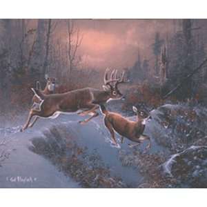  Ted Blaylock   Whitetails on Mullen Creek Canvas Giclee 