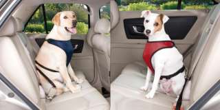 CAR HARNESSES for DOGS   Huge Selection Low Prices  