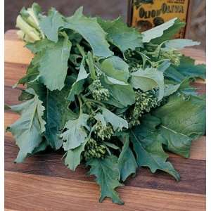  Davids Non Hybrid Broccoli Spring Raab (Brassica rapa 