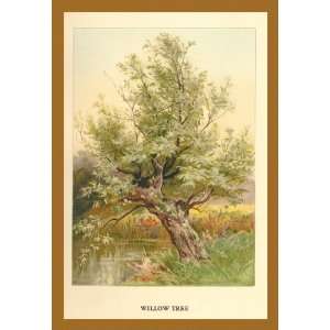 Willow Tree 12X18 Canvas