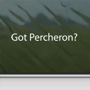  Got Percheron? White Sticker Horse Breed Pony Laptop Vinyl 