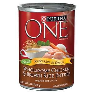   ONE Wholesome Chicken and Brown Rice Canned Dog Food