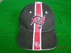 Tampa Bay Buccaneers NFL Hat  Very Nice Condition   Gre