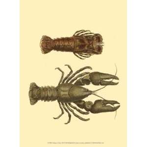  Antique Lobster III by James Sowerby 10x13