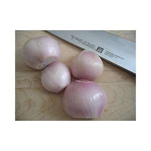 Shallots Peeled 1 Lb  Grocery & Gourmet Food