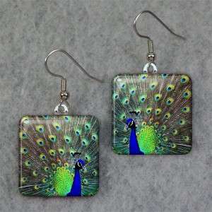 Peacock Glass Tile Art Earrings Pierced or Clip On 542  