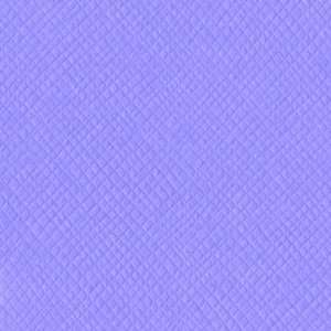  Fairy Dust Criss Cross 12 X 12 Bazzill Cardstock (Purple 