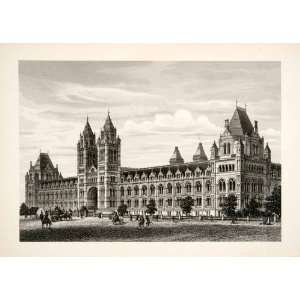  1881 Steel Engraving Natural History Museum Building South 