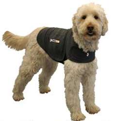 been a well designed, inexpensive pressure wrap commonly used for dog 