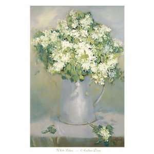 Andrea Dern   White Lilacs Canvas 