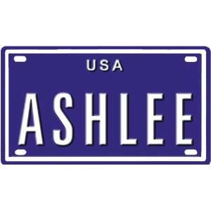  Ashlee USA mini metal embossed license plate name for bikes 