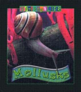   Mollusks by Joy Richardson, Gareth Stevens Publishing