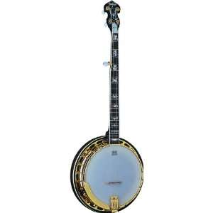  Washburn B17 5 string Banjo   with Hardshell Case Musical 