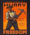   Hurry Freedom Africian Americans in Gold Rush 