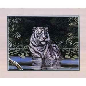  Wading White Tiger Finest LAMINATED Print Gary Ampel 20x16 