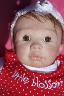 Reborn Baby Doll, Hand Painted, OOAK, Amazing Gift, Now Baby Sarah 